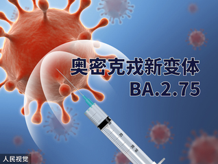 【优惠套餐】豆仓AI会员月卡价格怎么买性价比最高